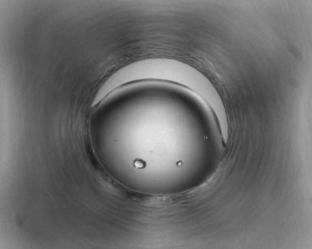 X0000116890136201001051531