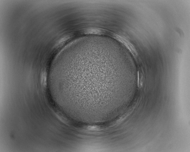 X0000116890157201001051531