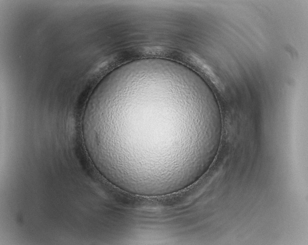X0000116890161201001051531