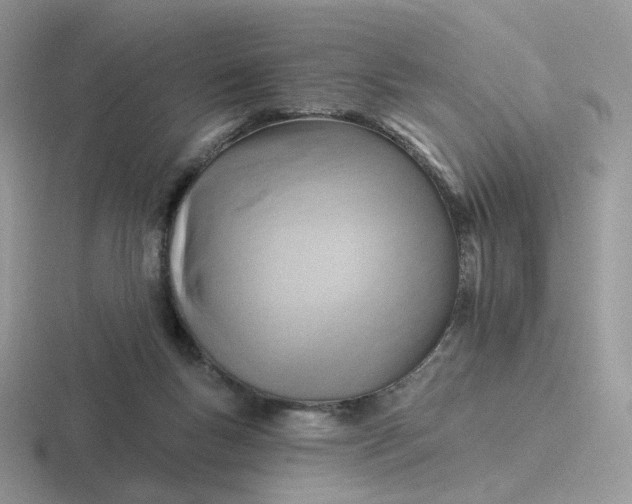 X0000116890167201001051531