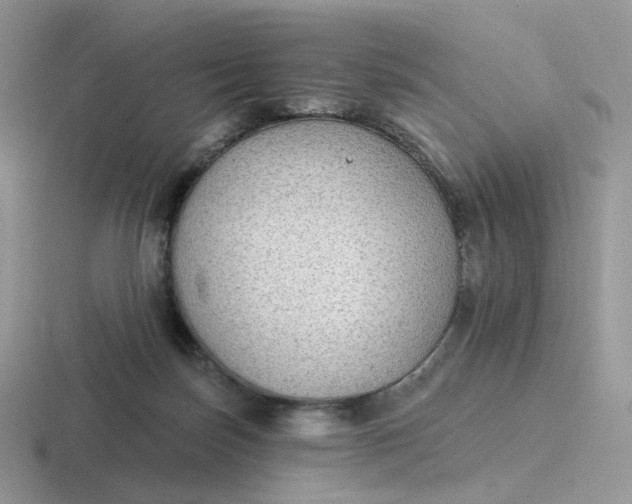X0000116890171201001051531