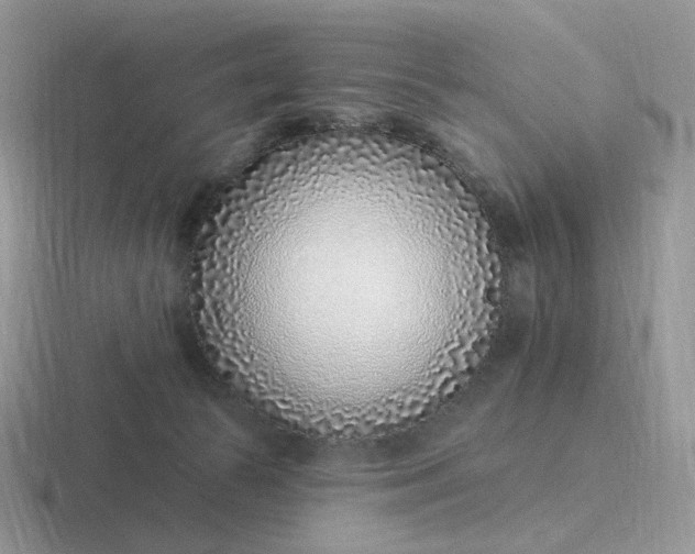 X0000116890177201001051531