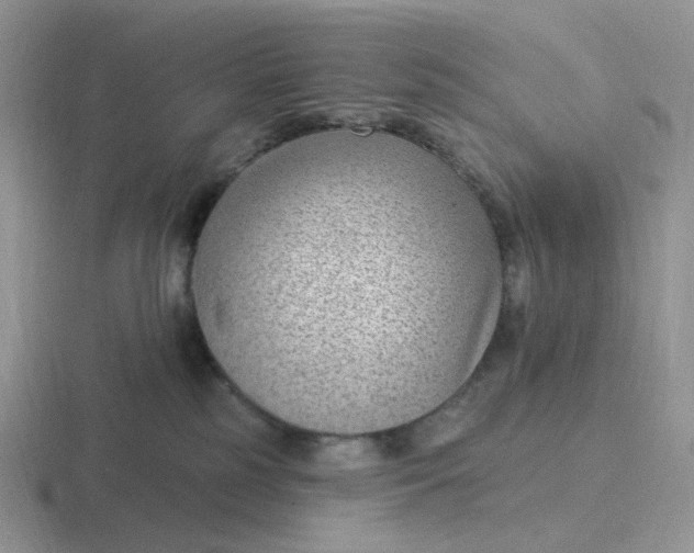 X0000116890185201001051531