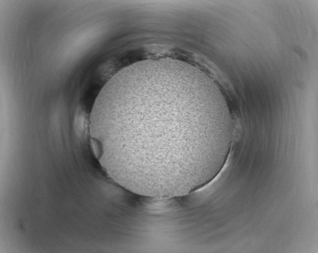 X0000116890191201001051531