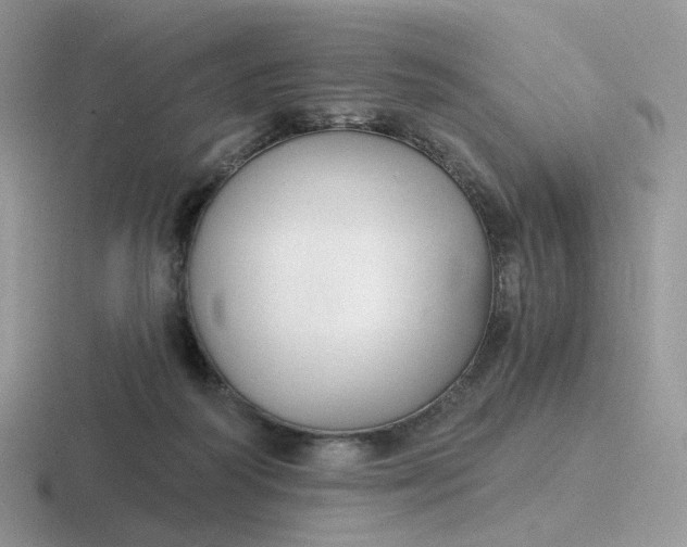 X0000116890218201001051530