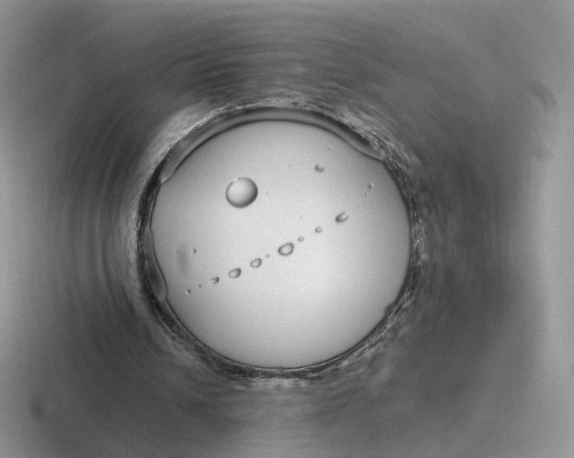 X0000116890242201001051529