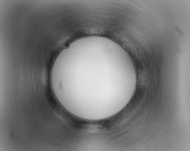 X0000116890255201001051529