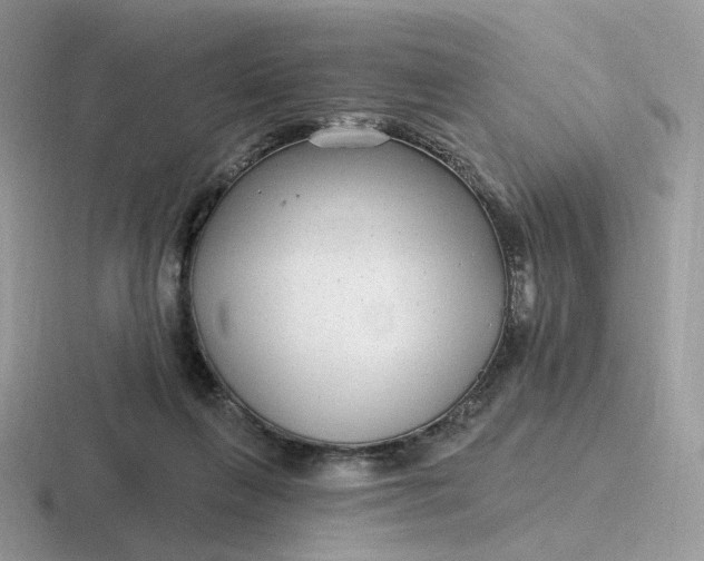 X0000116890263201001051529