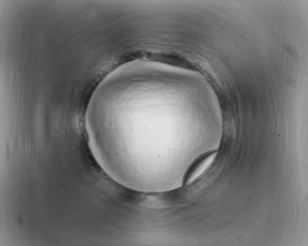 X0000116890285201001051530