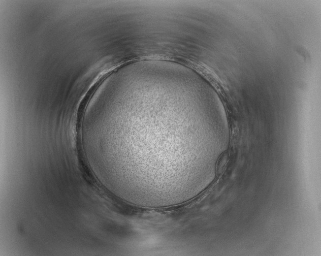 X0000116890290201001051529