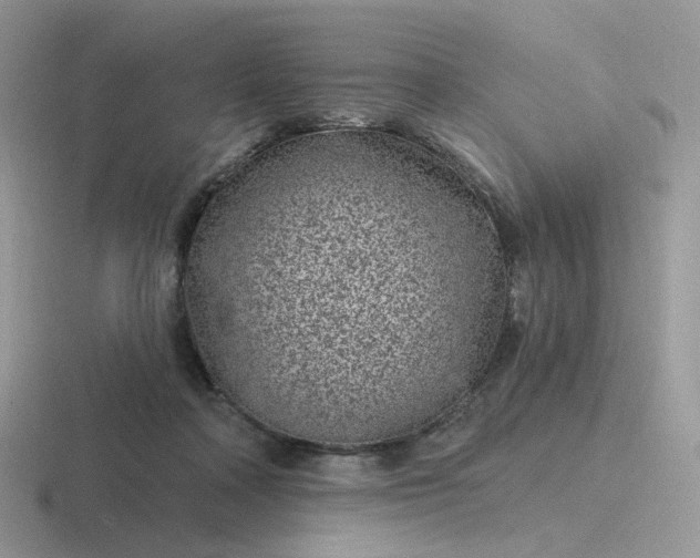 X0000116890314201001051529