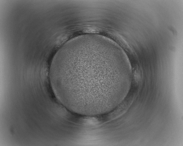 X0000116890322201001051529