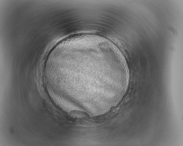 X0000116890337201001051528