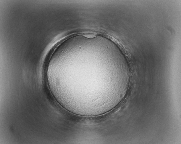 X0000116890343201001051528