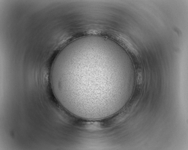 X0000116890363201001051528