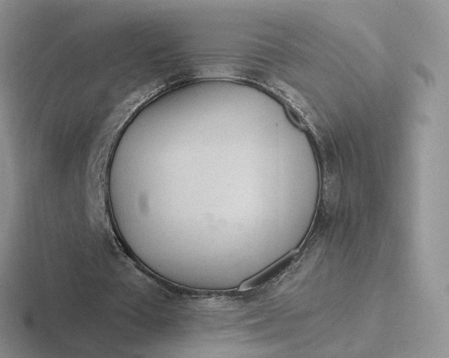 X0000116890385201001051528
