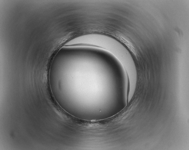 X0000116890401201001051528