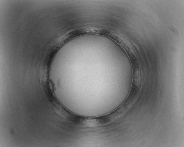 X0000116890413201001051528