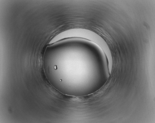 X0000116890425201001051527