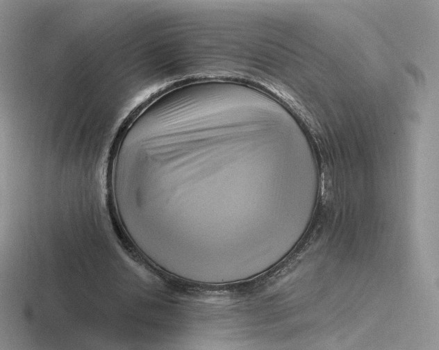 X0000116890438201001051527
