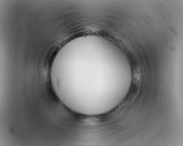 X0000116890468201001051527