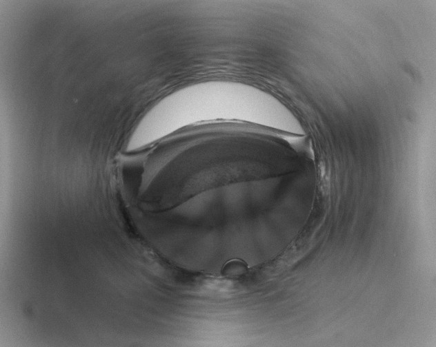 X0000116890471201001051527