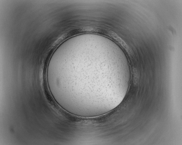 X0000116890482201001051527