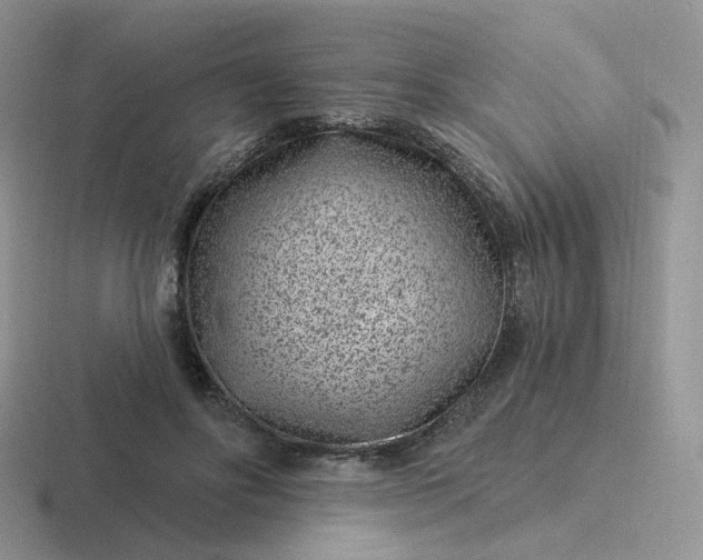 X0000116890502201001051526