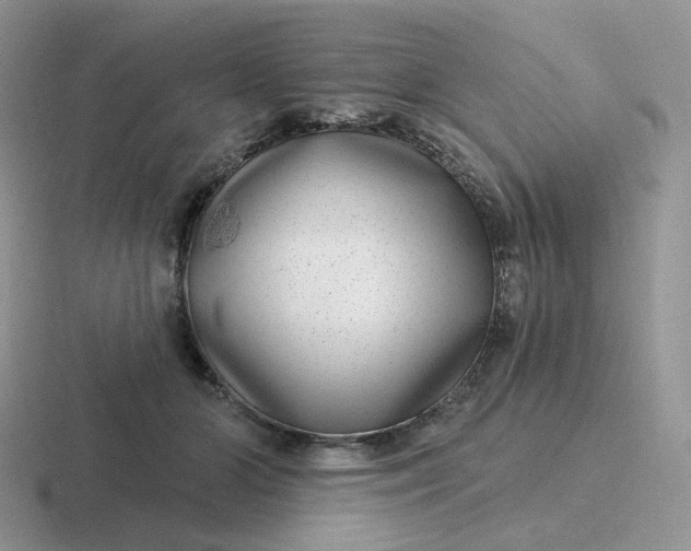 X0000116890510201001051526