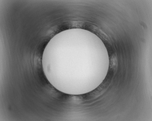 X0000116890522201001051526