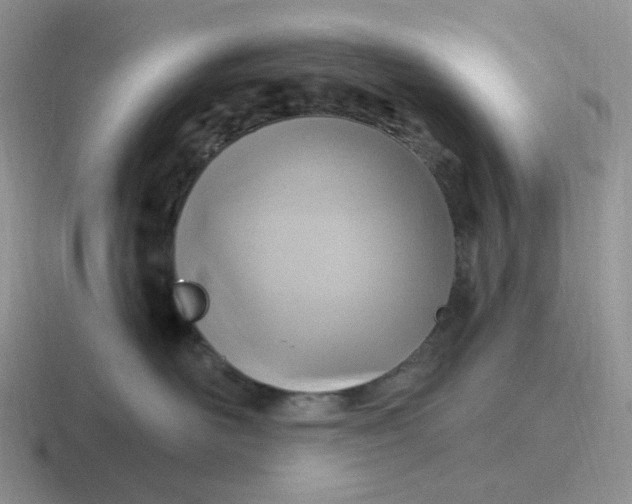 X0000116890526201001051526
