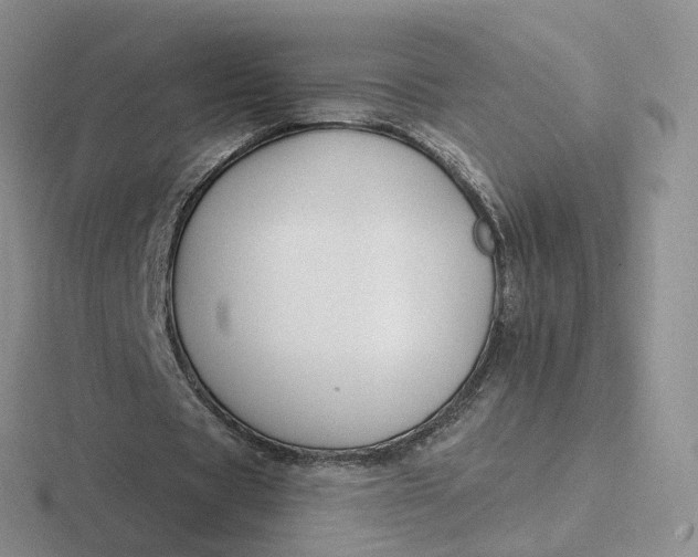 X0000116890529201001051526