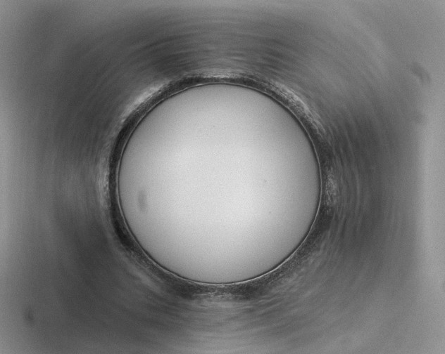 X0000116890535201001051526