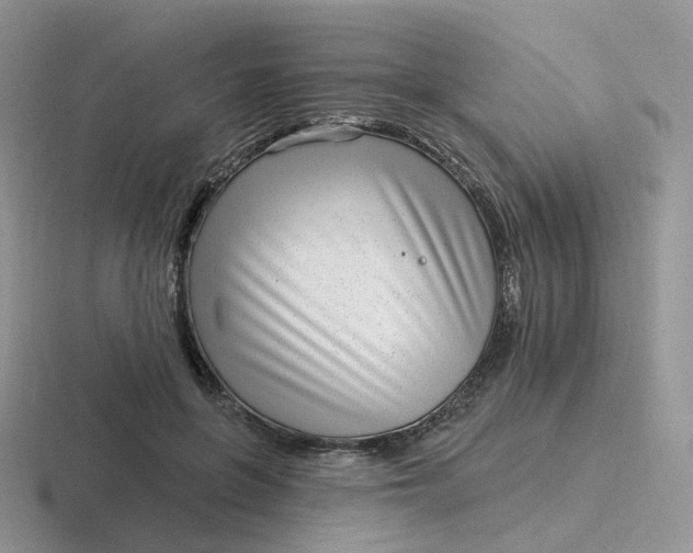 X0000116890551201001051526