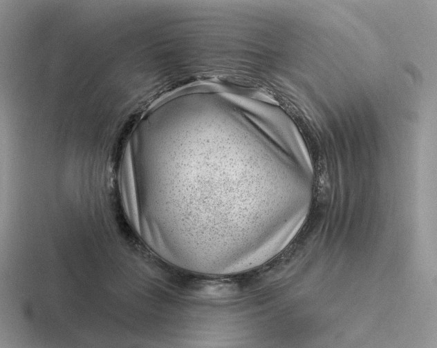 X0000116890555201001051526