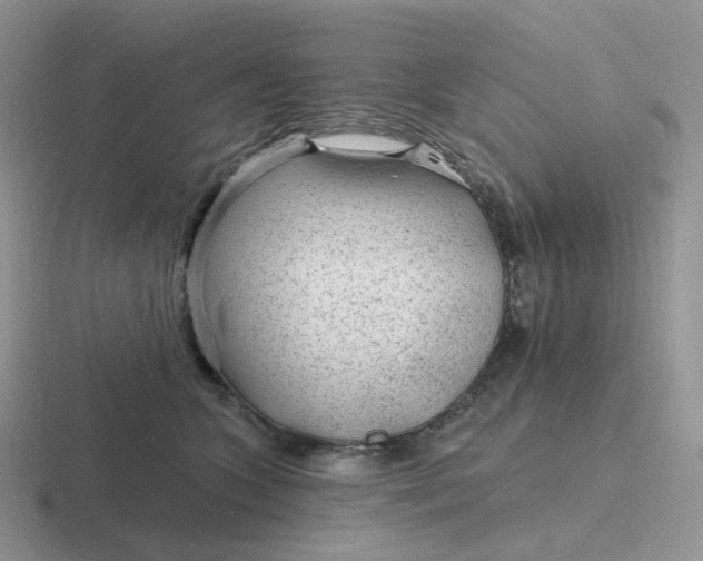 X0000116890563201001051526