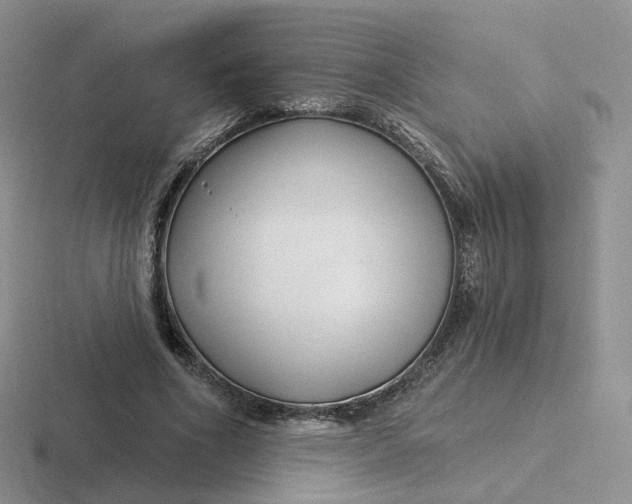 X0000116890586201001051525