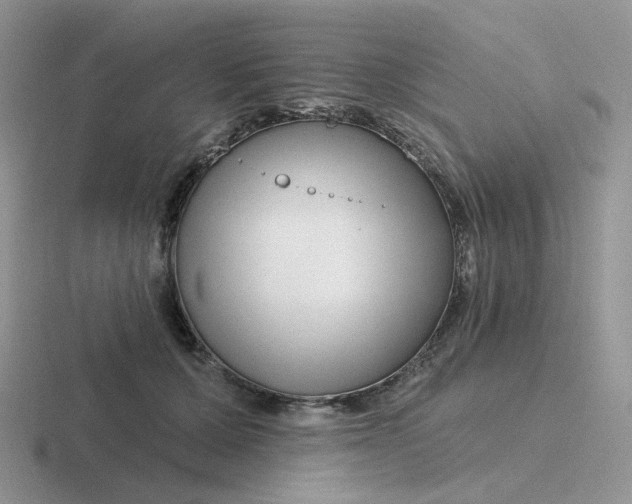 X0000116890607201001051525