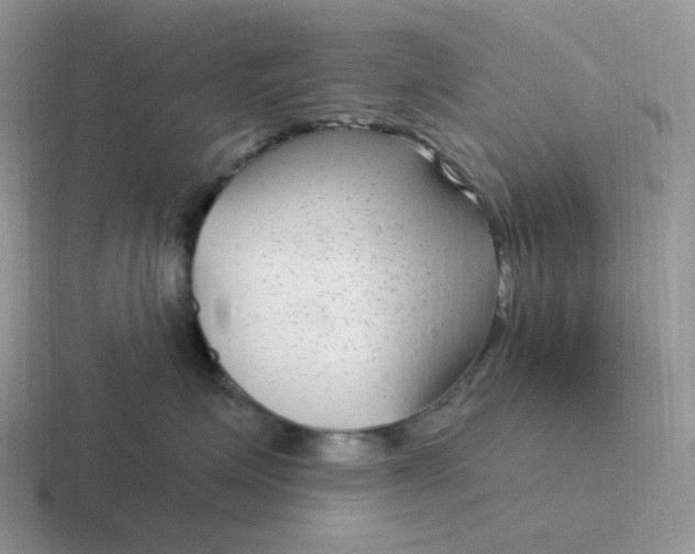 X0000116890623201001051525