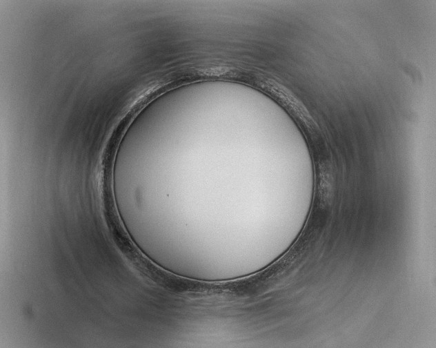 X0000116890626201001051524