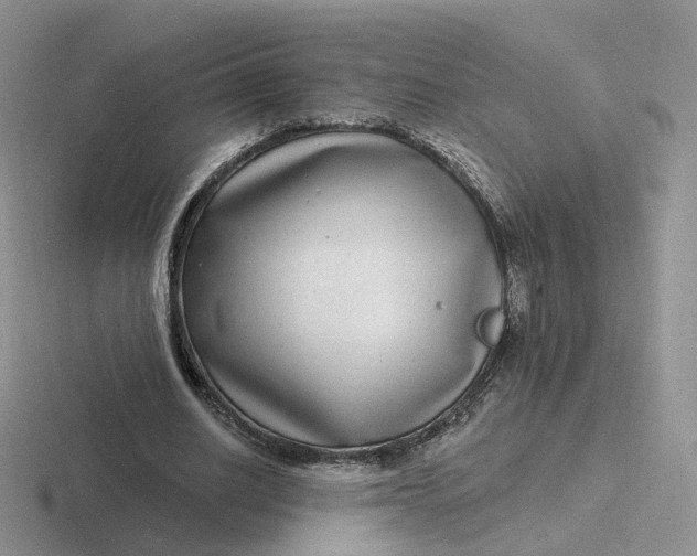 X0000116890630201001051524