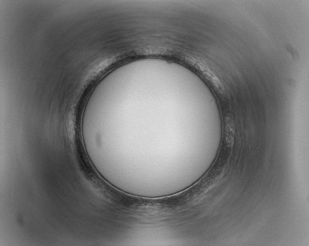 X0000116890631201001051524