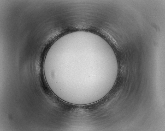 X0000116890635201001051524