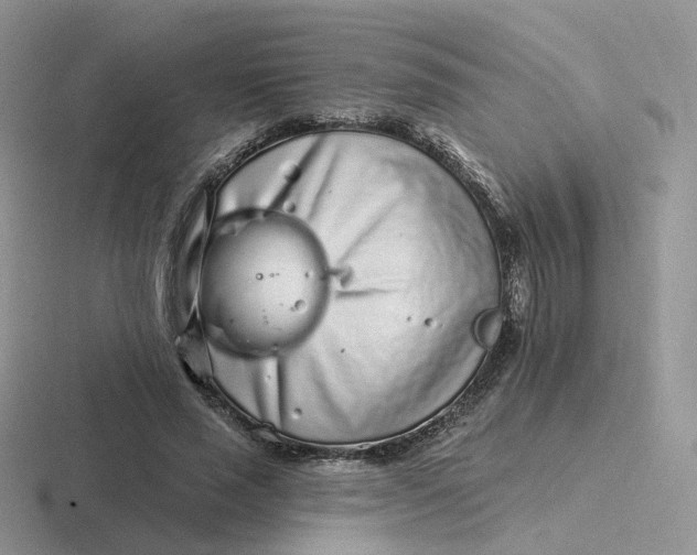 X0000116890637201001051524