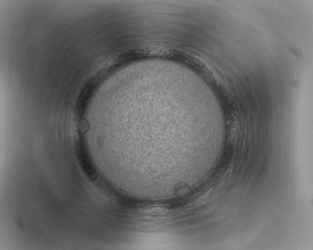 X0000116890643201001051525