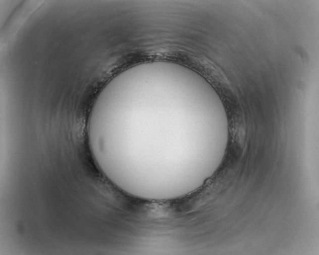 X0000116890660201001051525
