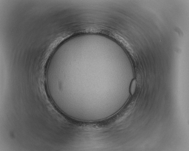 X0000116890673201001051524