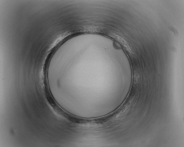 X0000116890674201001051524