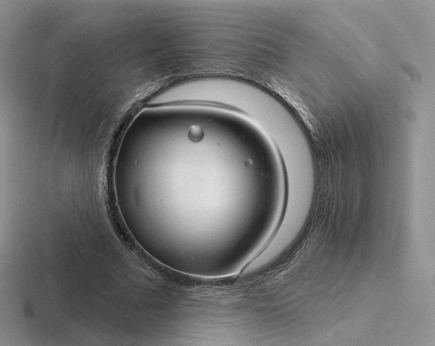 X0000116890681201001051524