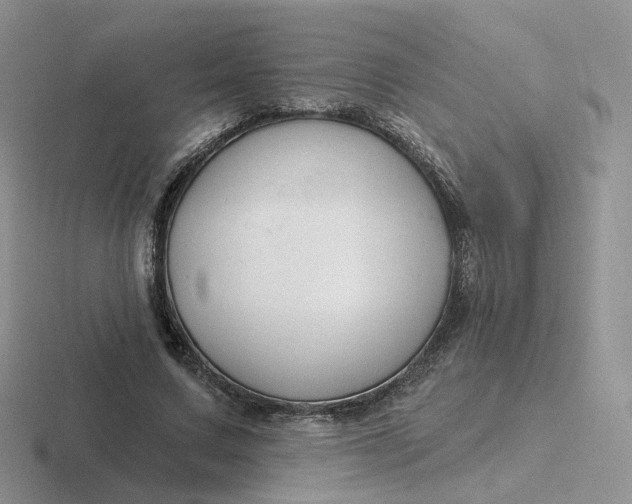 X0000116890683201001051524